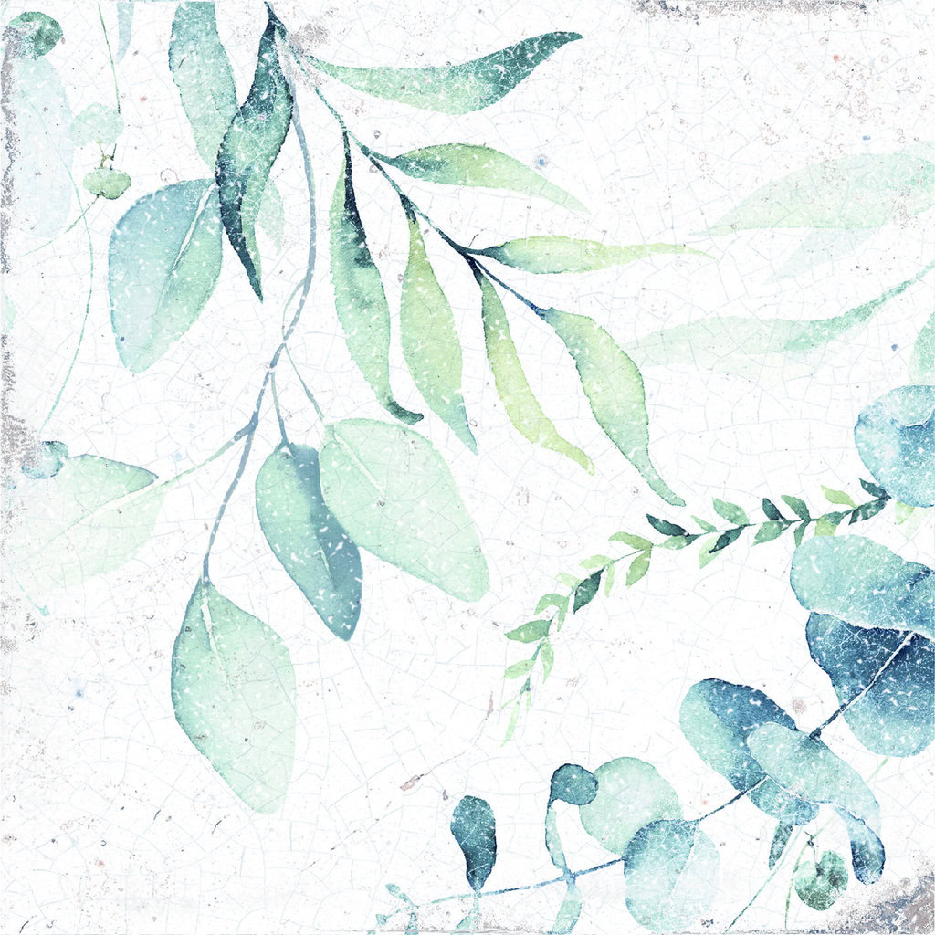 PRD 6x6 Mayolica Woods Wall Tile - Image 3